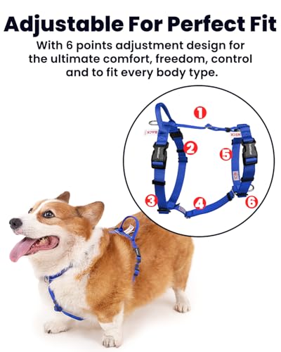 Non Restrictive No Pull Dog Harness, Small, Blue | Neck Buckle Design, Lightweight Easy Walk Freedom, Keep Balance, Sewn-in Instructions Labels - color: Blue, size: S