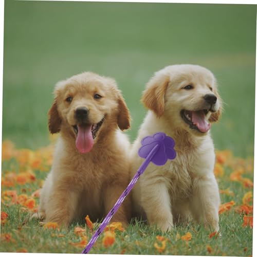 Healifty 2Pcs Paw Shaped Rubber Dog Training Tool Small for Puppy Obedience Improvement Pet Training Equipment Flexible Lightweight Gift