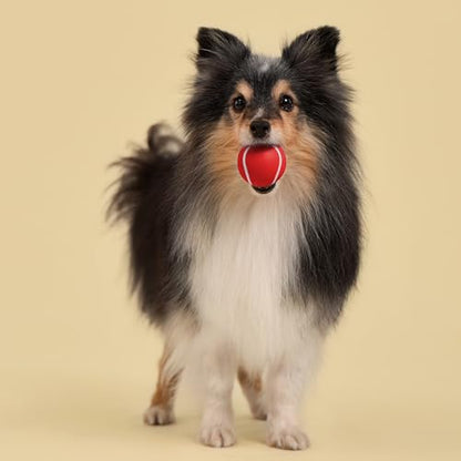 Playology Dog Toys | Squeaky Chew Ball for Dogs, Value 3-Pack | Beef Scented Small Dog Balls | Bouncy Floating Chew Toys for Fetch - size: Small (VALUE 3-Pack), style: Beef