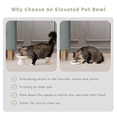 CEEFU 2 Elevated Ceramic Cat Bowls Extra Wide for Food & Water – Whisker Fatigue Shallow Food Dish, Lead & Cadmium-Free, Raised Height for Cats and Dogs, White - color: White