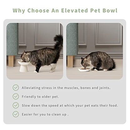 CEEFU 2 Elevated Ceramic Cat Bowls Extra Wide for Food & Water – Whisker Fatigue Shallow Food Dish, Lead & Cadmium-Free, Raised Height for Cats and Dogs, White - color: White