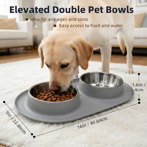 Double Stainless Steel Cat Food Bowls with Non-Slip Silicone Mat, Double Pet Feeder for Food & Water, Spill Proof Cat Dish Set for Small Medium Dogs & Cats, 1.5 Cups Each Bowl, Grey Mediun - color: Grey