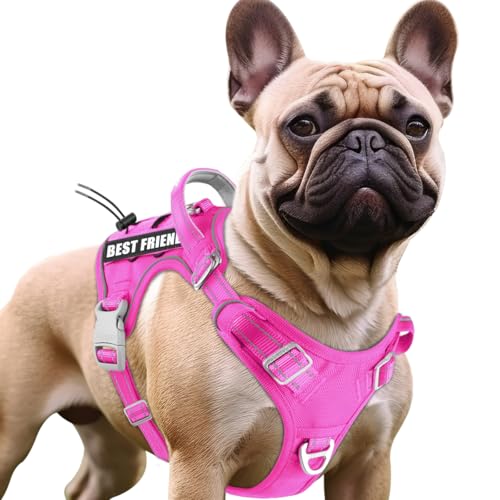 BARKBAY Service Dog Vest Tactical Dog Harness Medium Large Sized Dog No Pull Adjustable Dog Harness Reflective K9 Working Training Easy Control Military Molle System(Pink,S) - color: Pink, size: Small
