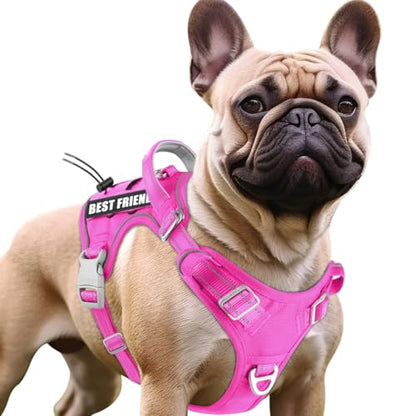 BARKBAY Service Dog Vest Tactical Dog Harness Medium Large Sized Dog No Pull Adjustable Dog Harness Reflective K9 Working Training Easy Control Military Molle System(Pink,S) - color: Pink, size: Small