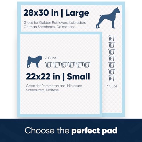 American Kennel Club Scented Puppy Training Pads with Ultra Absorbent Quick Dry Gel – 28 x 30 Pee Pads for Dogs - Fresh Scented - 50 Count, XL (Pack of 6) - size: 28 x 30 - 50 Count (Pack of 6)