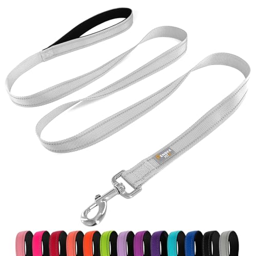 Dog Leash 6 FT Padded Handle Nylon Reflective Dogs Leashes for Small Dogs Silver - color: Refl Silver, size: Small : 5/8" x 6 FT