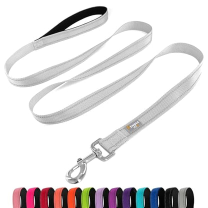 Dog Leash 6 FT Padded Handle Nylon Reflective Dogs Leashes for Small Dogs Silver - color: Refl Silver, size: Small : 5/8" x 6 FT