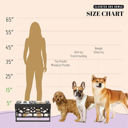 AVERYDAY Small Dog Bowls Elevated, 4 Height Adjustable Raised Dog Bowl Stand with 2 Stainless Steel Food and Water Bowls Set, Tall Dogs Feeding Station with Anti-Slip Base for Small Medium Breeds Dogs - color: Black stand + 2 food bowls, size: Small