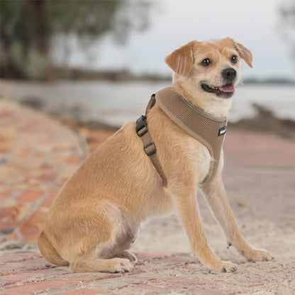 Best Pet Supplies Voyager Aerolite Over the Head Dog Harness, No Pull Breathable Air Mesh Vest, Quick Dry with Reflective Stitching, Adjustable Escape Resistant Harness - Beige, Small - color: Beige, size: S
