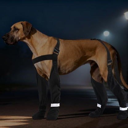 M Adjustable Dog Suspender Boots & Hiking Shoes, Waterproof Winter Snow Gear Boots with Anti-Slip Sole, Reflective Snowsuit Design That Helps Stay On for Cold Weather Adventures - color: Black, size: Medium