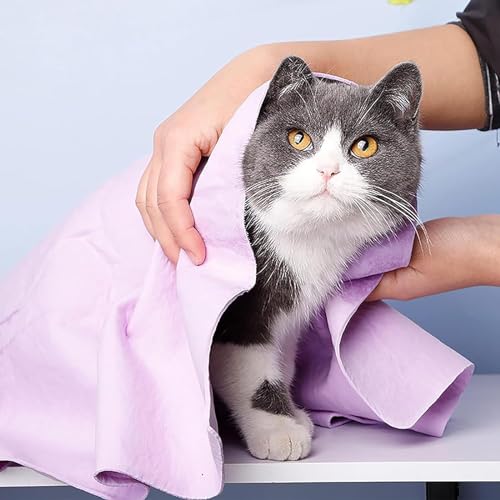GabeFish Super Absorbent Shammy Dog Towels Quick Dry Eco-Friendly Soft Multifunctional Pets Cats Towel Packs Large 5PC - size: Large/5 Packs