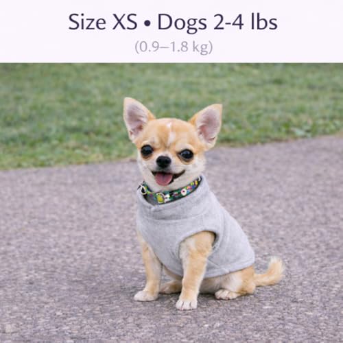 JACKO & CO - Fleece Vest Dog Sweater with Leash Ring - Soft, Warm & Lightweight Pullover Coat for Small & Medium Dogs, Puppies & Cats - Cozy Fall/Winter/Spring Pet Jacket (Grey, X-Small 2-4lbs) - color: Grey, size: XS (2-4lbs)
