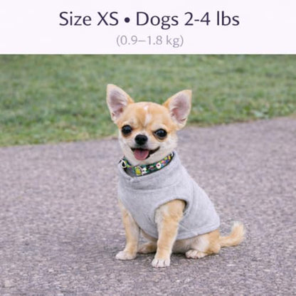 JACKO & CO - Fleece Vest Dog Sweater with Leash Ring - Soft, Warm & Lightweight Pullover Coat for Small & Medium Dogs, Puppies & Cats - Cozy Fall/Winter/Spring Pet Jacket (Grey, X-Small 2-4lbs) - color: Grey, size: XS (2-4lbs)