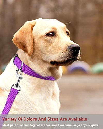 Reflective Dog Collar with Buckle Adjustable Safety Nylon Collars for Small Medium Large Dogs, Purple XL - color: Purple, size: XLarge :Width 1",Neck 16-26"