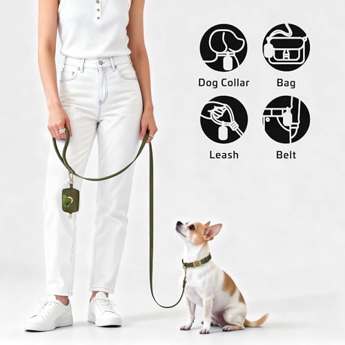 Didog Stylish Dog Poop Bag Holder for Leash, Easy-Pull and Colorful PU Leather Dog Poop Bag Dispenser with Metal Clip, Includes 1 Roll Pet Waste Bag for Daily Walking,Dark Green - color: Dark Green