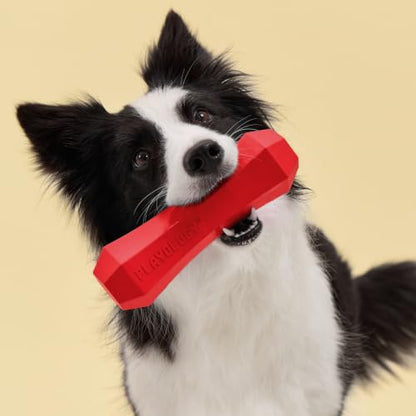 Playology Dog Toys | Squeaky Chew Stick for Large Dogs | Beef Scented Jumbo Fetch Toy | Squeaky Dog Chew Toy - size: Jumbo, style: Beef