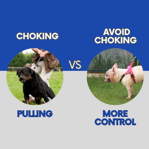 No Pull Dog Harness with Handle, Rear & Front Clip, Adjustable, Easy On/Off, Reflective, Lightweight & Mesh Padded, No Choke. Dog Harness Small Sized Dog (Pink-Black, Small) - color: Pink-Black, size: Small