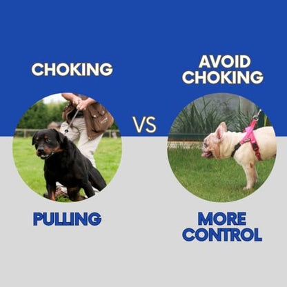 No Pull Dog Harness with Handle, Rear & Front Clip, Adjustable, Easy On/Off, Reflective, Lightweight & Mesh Padded, No Choke. Dog Harness Small Sized Dog (Pink-Black, Small) - color: Pink-Black, size: Small