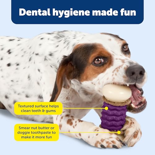 PetSafe Busy Buddy Nobbly Nubbly Treat Holding Dog Toy Strong Chewers Small - size: Small, style: Nobbly Nubbly