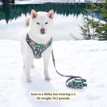 Lucy & Co. x Parks Project Geyser No-Pull Dog Harness, Adjustable Front Clip Harness with Comfort Padding, X-Large - color: Geyser, size: X-Large