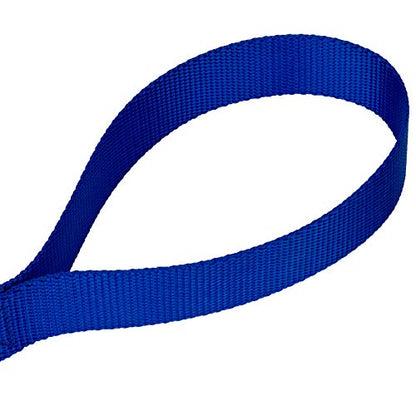 Country Brook Petz - Royal Blue Martingale Heavyduty Nylon Dog Collar and Double Handle Leash (1 Inch, Medium) - color: Royal Blue, size: Medium (Pack of 1)