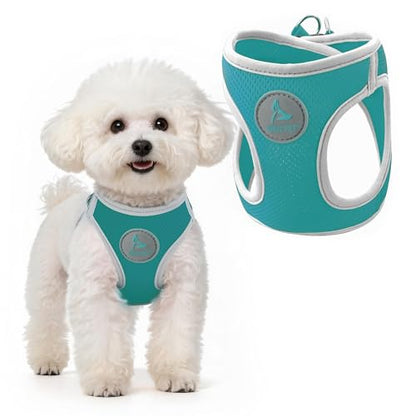 Dog Harness (Chest 14.5"-15.5", Weight 6–10 lbs) Athletica Adjustable Heavy Duty No Choke Puppy Vest for Small Dogs Lightweight Air Mesh, Reflective, Puppy Essentials – Turquoise, Small - color: Turquoise, size: Small