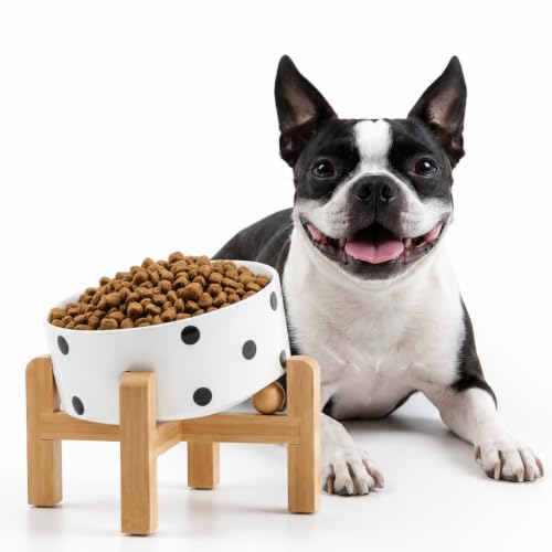 Petygooing Raised/Elevated 15°Slanted Ceramic Dog Bowl for Small Breeds,Tilted Anti Slip Pet Bowl,Food Water Dish with Stand for Cats and Small Dogs Puppy 13.5 OZ (5.1In / 1.7 Cups) Black Dot - color: Black Dot, size: 1.7 CUPS - Puppy/Small Dogs & Cat Bow