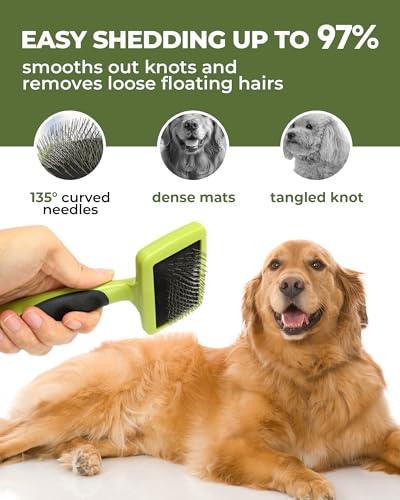 Dog Brush for Shedding Grooming,6 Pack Long-Pin Brush Set for Long Haired Dog Cat Goldendoodles Poodles Doodles Green - color: B-Green