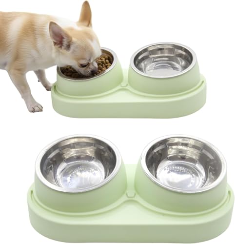 Non-Slip Tilted Double Dog & Cat Bowl with Removable Inserts, Anti-Tip Dual Food and Water Feeder for Small Dogs and Cats, Easy to Clean (Pastel Green) - color: Pastel Green
