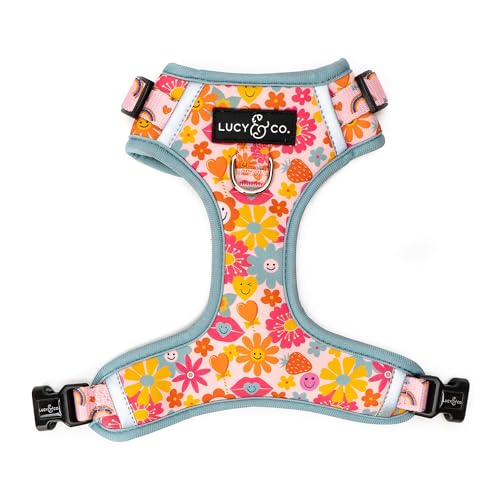 Lucy & Co. Cute No-Pull Y2K Baby Harness - Stop Pulling & Walk Easy - Harness Available in XS-XL for Small, Medium, and Large Dogs - Y2K Baby (X-Large) - color: The Y2K Baby No-Pull Harness, size: X-Large