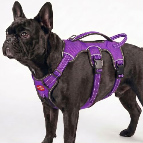 Tuff Pupper Escape Proof No Escape Dog Harness | 5 Point Adjustable Fit Harness for Dogs | Padded Dog Harnesses | Handle Dog Lift Harnesses - color: Purple, size: Small: 17-22 Inch Chest