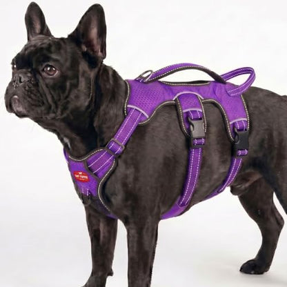 Tuff Pupper Escape Proof No Escape Dog Harness | 5 Point Adjustable Fit Harness for Dogs | Padded Dog Harnesses | Handle Dog Lift Harnesses - color: Purple, size: Small: 17-22 Inch Chest