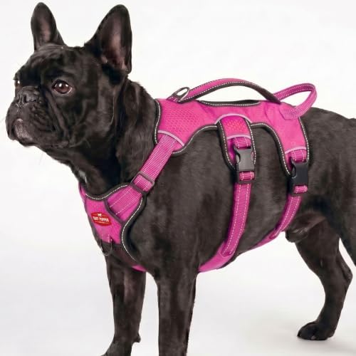 Tuff Pupper Escape Proof No Escape Dog Harness | 5 Point Adjustable Fit Harness for Dogs | Padded Dog Harnesses | Handle Dog Lift Harnesses - color: Hot Pink, size: Small: 17-22 Inch Chest