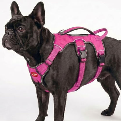 Tuff Pupper Escape Proof No Escape Dog Harness | 5 Point Adjustable Fit Harness for Dogs | Padded Dog Harnesses | Handle Dog Lift Harnesses - color: Hot Pink, size: Small: 17-22 Inch Chest