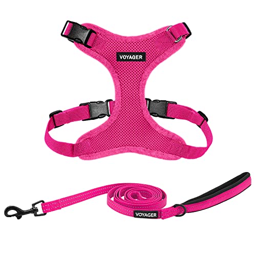 Best Pet Supplies Voyager Step-in Lock Pet Harness w Reflective Pet Leash Combo Set with Neoprene Handle 5ft - Supports Small, Medium and Large Breed Puppies/Cats - Fuchsia, XS - color: Harness Leash Set (Fuchsia), size: XS (Chest: 13 - 16")