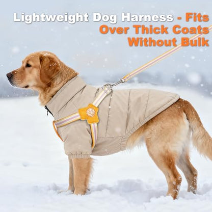 COODEO Anti-Pull Dog Harness with Reflective Strips & Breathable Padding & Anti-Escape Design, Quick Adjustable Dogs Training & Walking (Yellow, M) - color: Yellow, size: M