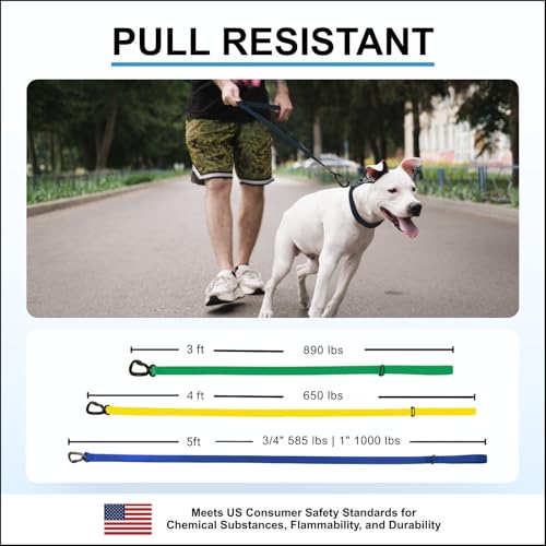DogTraxs Essential Biothane Dog Leash, Emerald Green, 3/4 in x 3 ft | Waterproof, For Small, Large, Medium Dogs, Dog Training, Locking Carabiner - color: Emerald Green, size: 3/4 In x 3 Feet