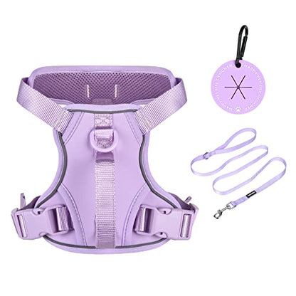 Petmolico Dog Harness for Small Dogs, Cute Harness Vest with Two Leash Clips and Soft Handle, Reflective Easy Walk Puppy Vest - Light Purple, Small - color: Light Purple, size: Small
