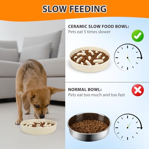 Ceramic Slow Feeder Dog Bowl, 2 Cups Dog Food Bowls for Small, Medium, and Large Breed, Anti-Slip Puzzle Food Dish to Slow Down Eating (White, 2 Cups) - color: Maze - White