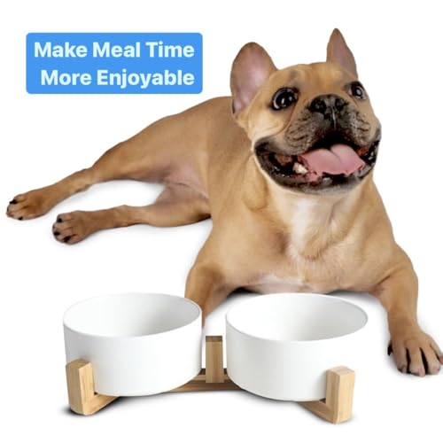 Ceramic Cat and Small Dog Bowl Set – Modern Indoor Small Size Pet Food and Water Bowls with Wood Stand – Non Slip Puppy Sized Feeding Station with Double Dishes (White) - color: White