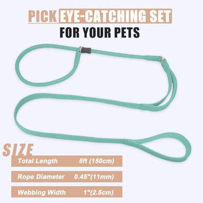 Slip Lead Dog Leash, Double Handle, Soft Leather, Heavy Duty Nylon, No Pull Walking, 5ft Mint Green - color: Mint Green, size: 5ft