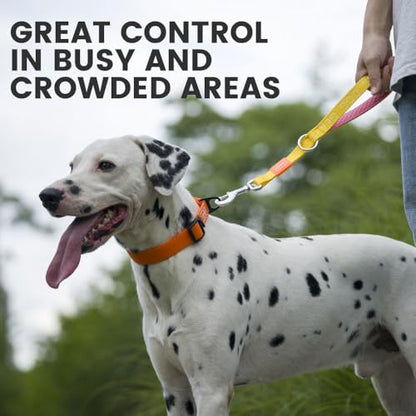 HOWGO Short Dog Leash - Aviation Aluminum Hook Lightweight Padded Handles Rope Traffic Leashes for Large Dogs,No Tangle Dog Leash Coupler,Mint Green - color: Mint Green