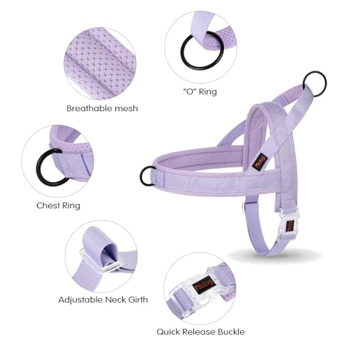 Didog No Pull Dog Harness with Breathable Mesh Padded, Quick Fit & Easy on Dog Vest Harness for Small Medium Large Dogs Training Walking(Purple,XS) - color: Purple, size: XS:Chest 15-19", Fit 8-17 lbs
