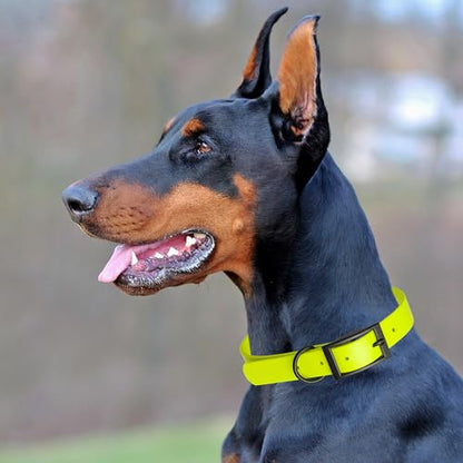 Dogline Biothane Waterproof Dog Collar Strong Coated Nylon Webbing with Black Hardware Odor- Proof for Easy Care Easy to Clean High Performance Fits Small Medium or Large Dogs, Safety Yellow