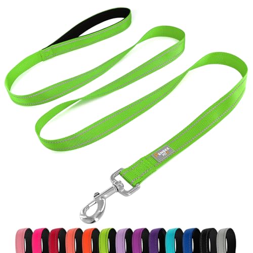 Dog Leash 6 FT Padded Handle Nylon Reflective Dogs Leashes for Small Dogs Puppy Green - color: Refl Green, size: Small : 5/8" x 6 FT