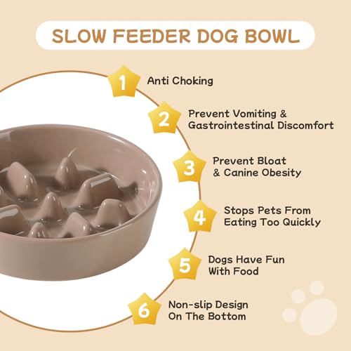Havniva 6.1” Raised Slow Feeder Dog Bowls Set, 0.9 Cups Ceramic Slow Feeder Dog Bowl and 6.1” Dog Water Bowl with Elevated Wooden Stand Puzzle Dog Food Bowl for Small Dogs Anti-Gulping & Anti-Choking - color: 2 x Brown Coffee+Stand-C, size: 6.1inch