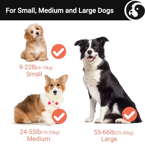 Happy & Polly 4-in-1 Dog Leash - Retractable, Heavy Duty, 16.4 ft with Flashlight & Bungee for Small Dogs