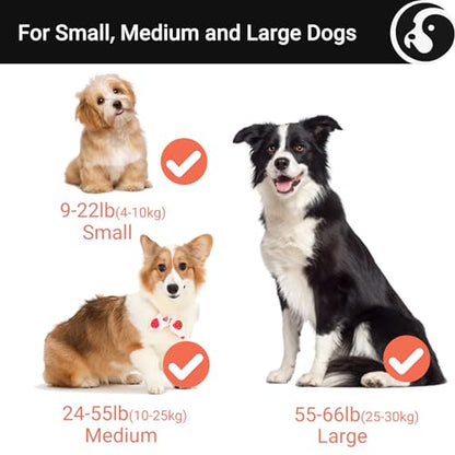 Happy & Polly 4-in-1 Dog Leash - Retractable, Heavy Duty, 16.4 ft with Flashlight & Bungee for Small Dogs