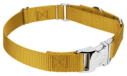 Country Brook Petz - Martingale Dog Collar - Heavy Duty Nylon Adjustable Martingale Dog Collar with Premium Buckle for Small Medium Large Breeds (5/8 Inch, Extra Small, Gold) - color: Gold, size: Extra Small (Pack of 1)