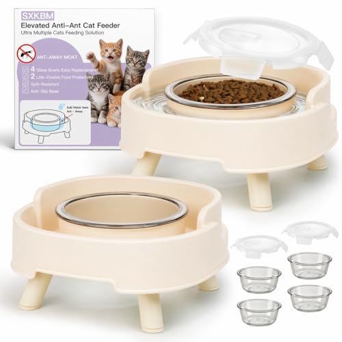 2 Pack Ant Not Cross Elevated Cat Bowls Mess Proof-4 Food Grade Glass Bowls & 2 Lids- No Spill Cat Food and Water Feeding Station for Cats&Puppy Indoor & Outdoor,No Whisker Fatigue Dish,Beige - color: Beige, size: 2PACK-4BOWLS